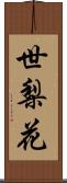世梨花 Scroll
