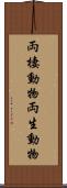 両棲動物 Scroll