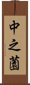 中之薗 Scroll