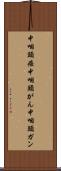 中咽頭癌 Scroll