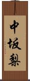 中坂梨 Scroll