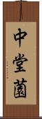 中堂薗 Scroll