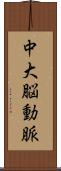 中大脳動脈 Scroll