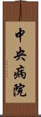 中央病院 Scroll