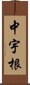中宇根 Scroll