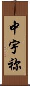 中宇祢 Scroll