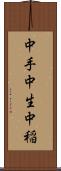 中手 Scroll
