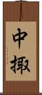 中掫 Scroll