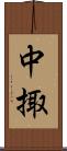 中掫 Scroll