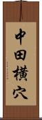 中田横穴 Scroll