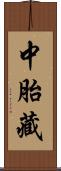 中胎藏 Scroll