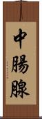 中腸腺 Scroll