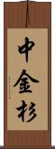 中金杉 Scroll