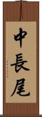 中長尾 Scroll