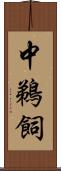 中鵜飼 Scroll