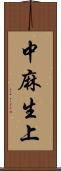 中麻生上 Scroll