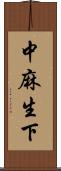 中麻生下 Scroll