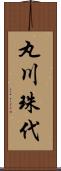 丸川珠代 Scroll