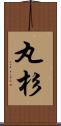 丸杉 Scroll