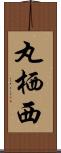 丸栖西 Scroll