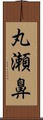 丸瀬鼻 Scroll