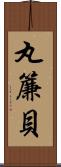 丸簾貝 Scroll