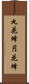 丸花蜂 Scroll