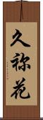 久祢花 Scroll