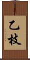 乙枝 Scroll