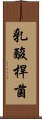 乳酸桿菌 Scroll