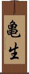 亀生 Scroll