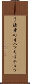 了徳寺のオハツキイチョウ Scroll