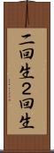 二回生 Scroll