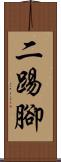 二踢腳 Scroll