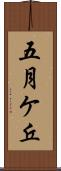 五月ケ丘 Scroll