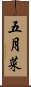 五月菜 Scroll