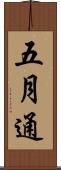 五月通 Scroll