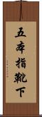 五本指靴下 Scroll