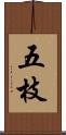 五枝 Scroll