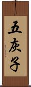五灰子 Scroll