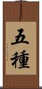 五種 Scroll