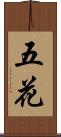 五花 Scroll