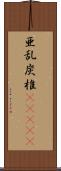 亜乱炭椎(ateji) Scroll