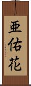亜佑花 Scroll