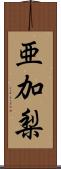 亜加梨 Scroll