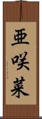 亜咲菜 Scroll