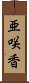 亜咲香 Scroll