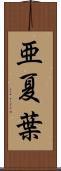 亜夏葉 Scroll