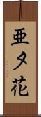 亜夕花 Scroll