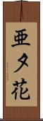 亜夕花 Scroll